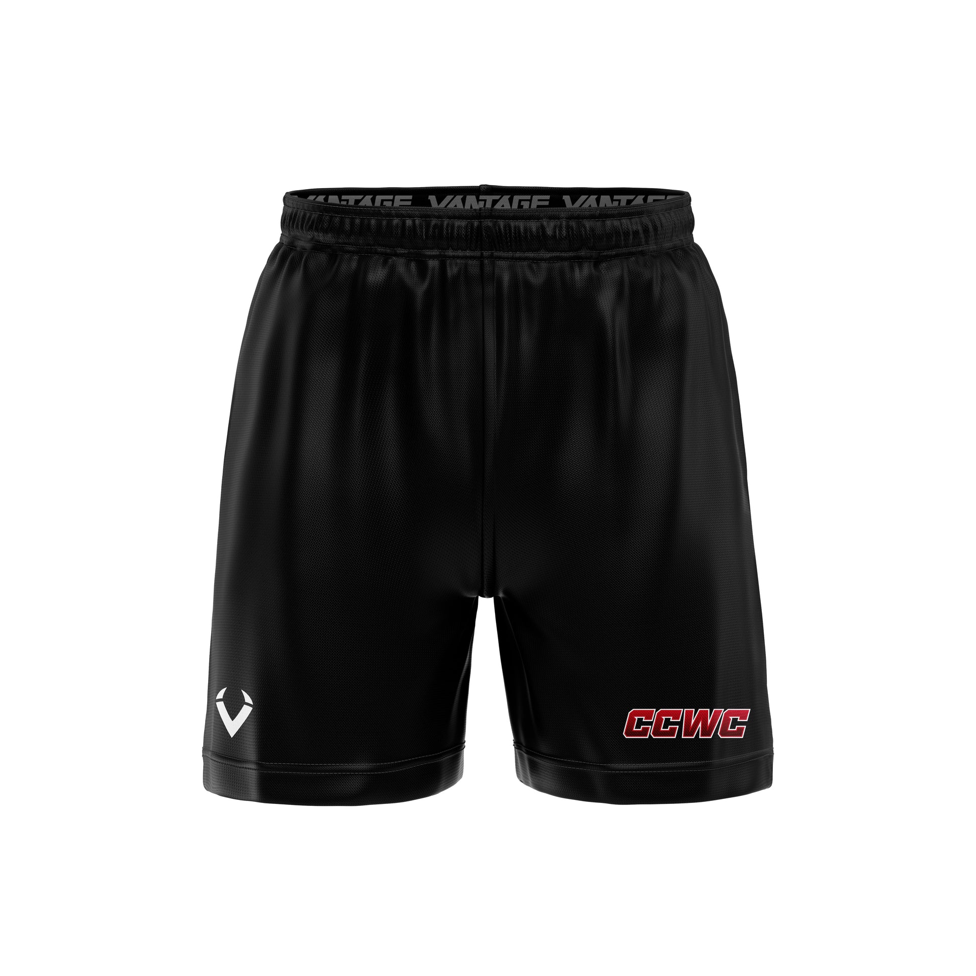 Capital City - Mesh Workout Shorts